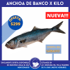 * Anchoa de Banco x kilo (sabado)