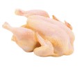 POLLO DE CAMPO ENTERO (sin menudos) PESO ESTIMADO 4,500kg - 4,900 kg