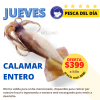 OFERTA DEL JUEVES - Calamar Entero fresco x Kilo