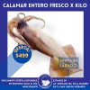 * Calamar entero Fresco x kilo (Sábado)